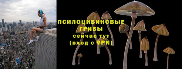 твердый Алексеевка