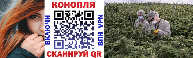 Бошки Шишки SATIVA & INDICA Бикин